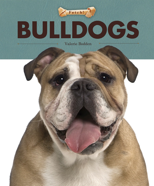 Fetch! Series Hardcover Fetch!: Bulldogs