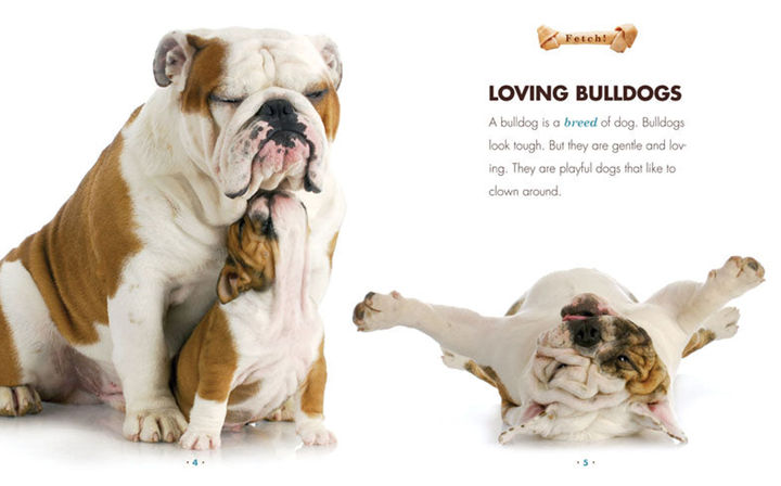 Fetch! Series Hardcover Fetch!: Bulldogs - 2