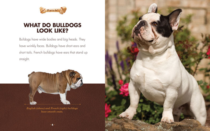 Fetch! Series Hardcover Fetch!: Bulldogs - 3