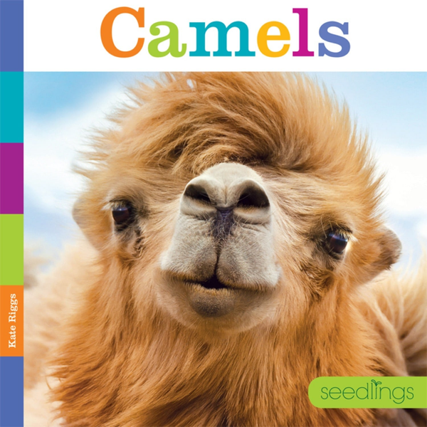 Seedlings Series Hardcover Seedlings: Camels