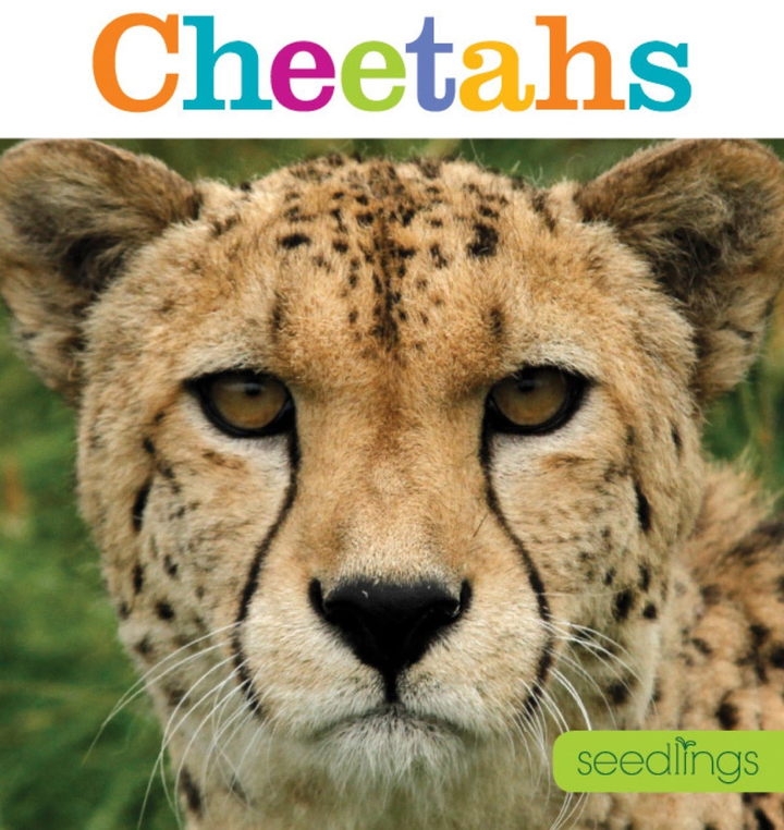 Seedlings Series Hardcover Seedlings: Cheetahs