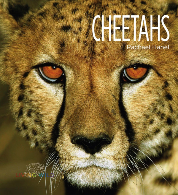 Living Wild Series Hardcover Living Wild: Cheetahs