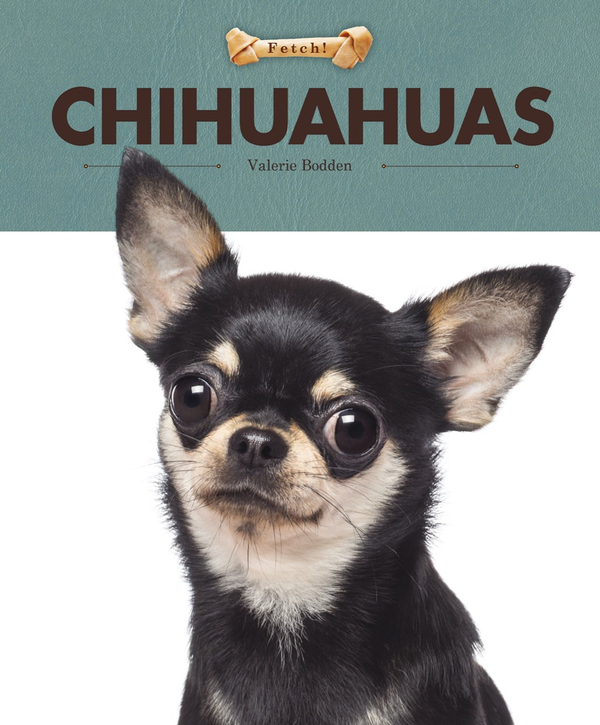 Fetch! Series Hardcover Fetch!: Chihuahuas