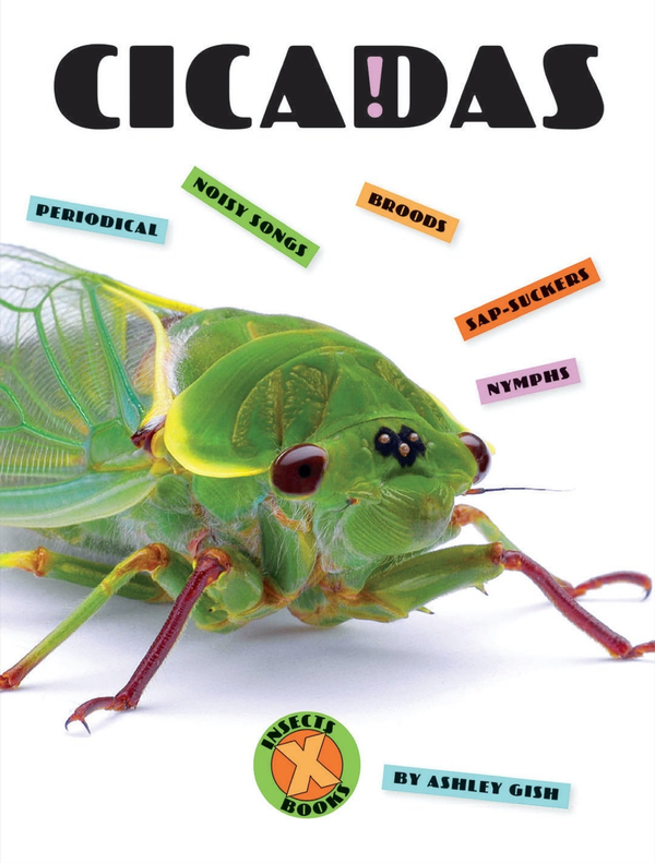 X-Books Series Paperback X-Books: Insects: Cicadas