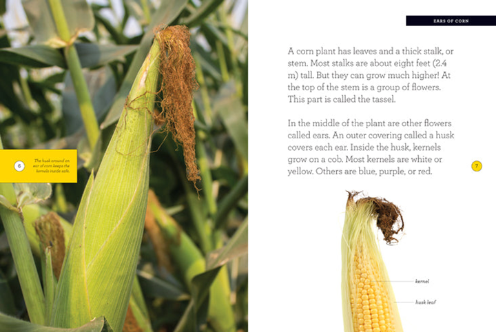 Grow with Me Series Hardcover Grow with Me: Corn - 3