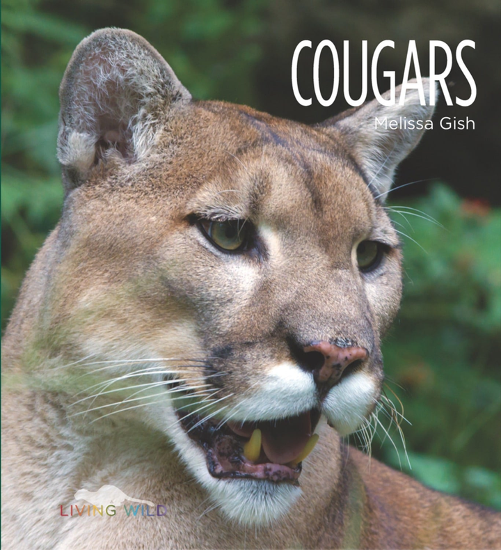 Living Wild Series Hardcover Living Wild: Cougars