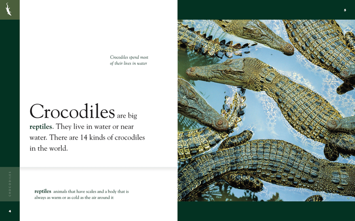 Amazing Animals - Classic Edition Series Hardcover Amazing Animals - Classic Edition: Crocodiles - 2