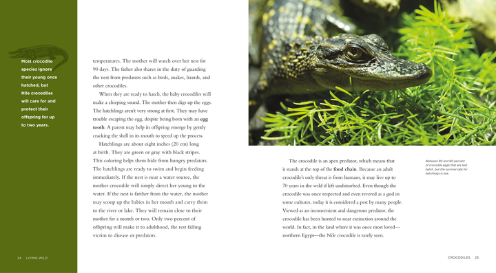 Living Wild Series Hardcover Living Wild: Crocodiles - 3