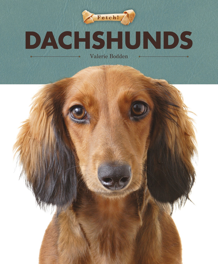 Fetch! Series Hardcover Fetch!: Dachshunds