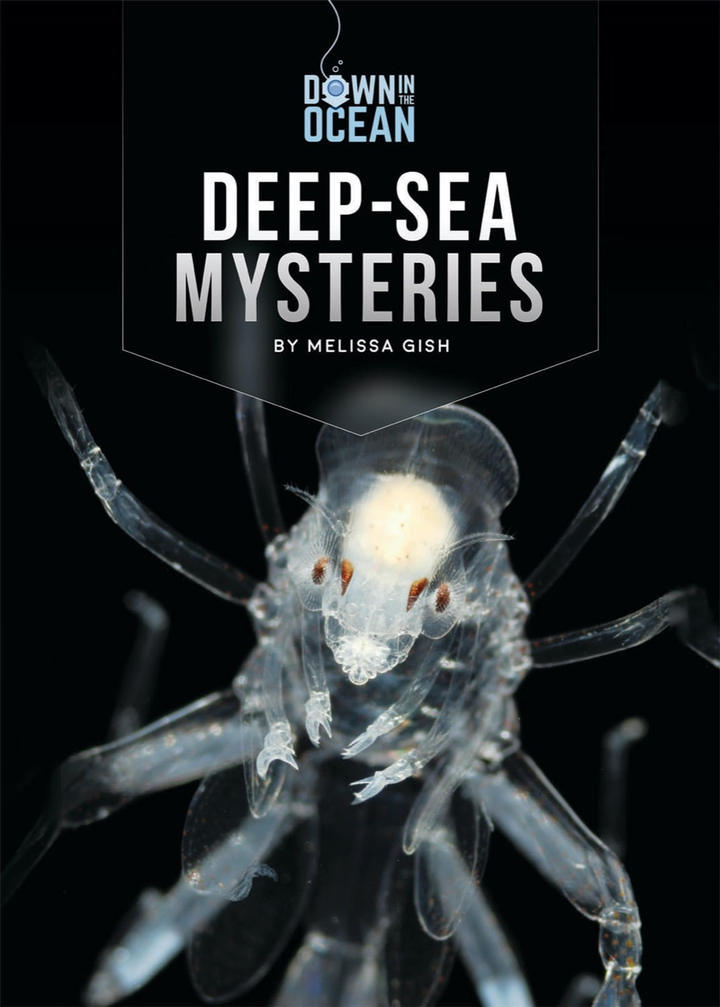 Down in the Ocean Series Hardcover Down in the Ocean: Deep-Sea Mysteries