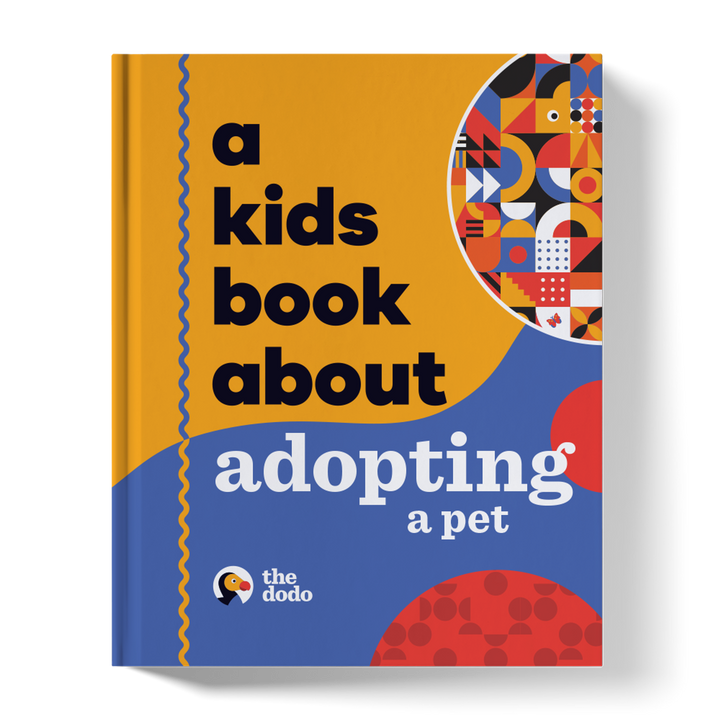 A Kids Book About Adopting A Pet