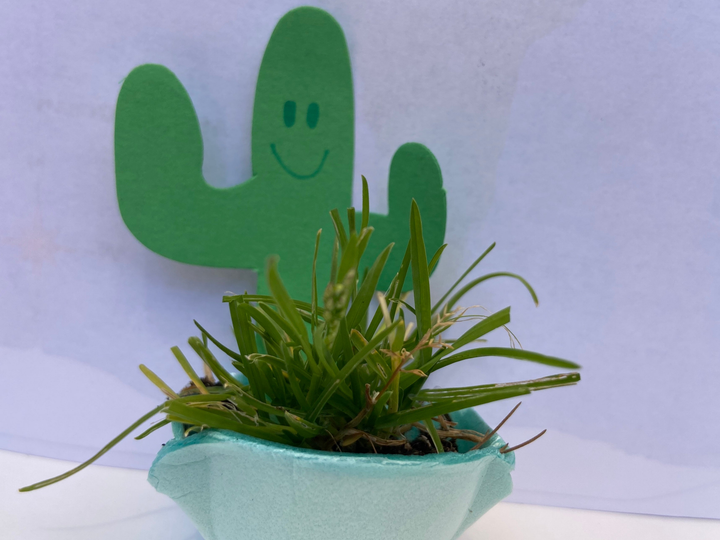 Small Single Color Cut-Out Cactus - 6