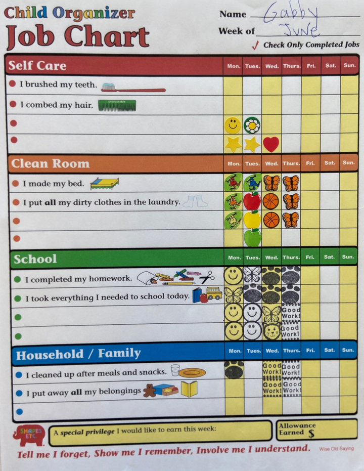 Job Chart - Child Organizer - 2