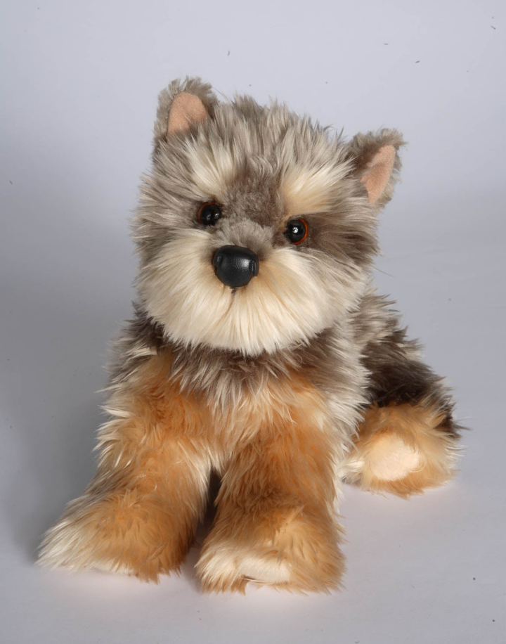 Yettie Yorkie Dog