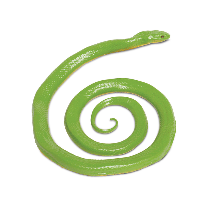 Rough Green Snake