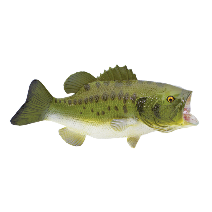 Largemouth Bass