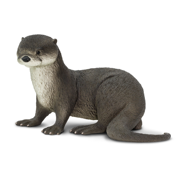 River Otter