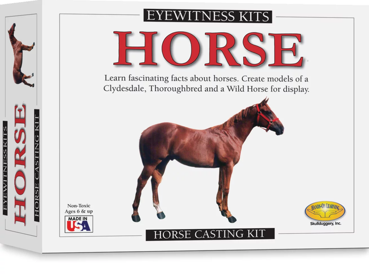 Eyewitness Kit Horse