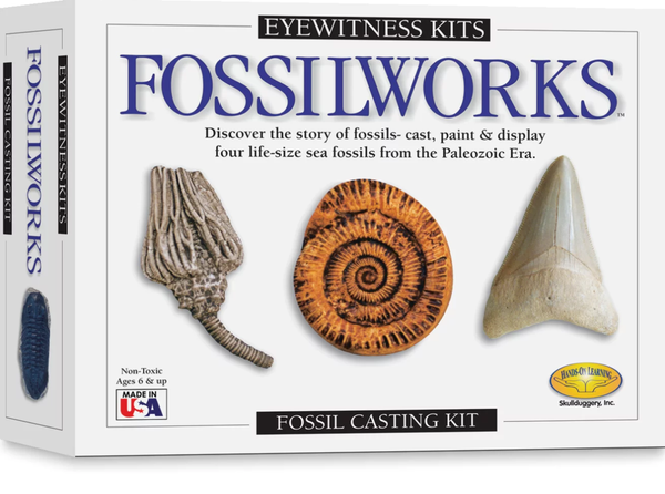 Eyewitness Kit Fossilworks