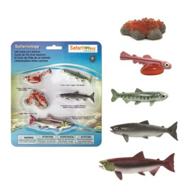 Life Cycle Of A Salmon Figurine