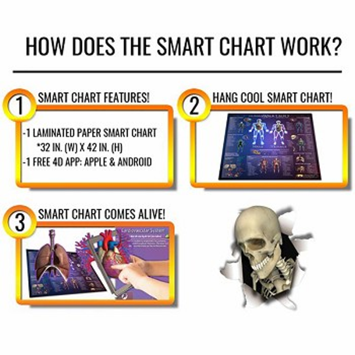 Human Anatomy Smart Chart - 3