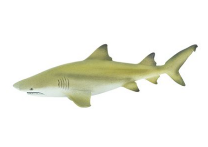 Lemon Shark Figurine