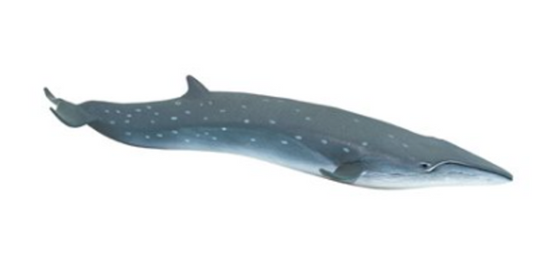 Sei Whale Figurine