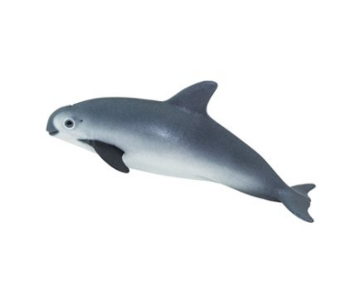 Vaquita Porpoise Figurine