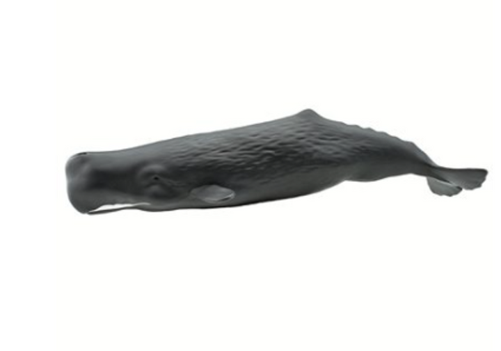 Sperm Whale Figurine