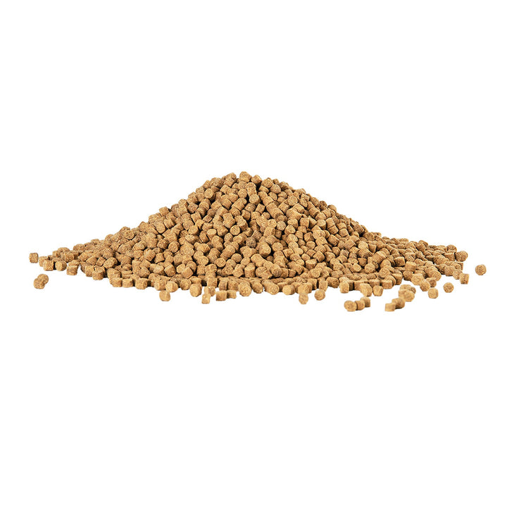 Aqueon Bottom Feeder Fish Shrimp Pellets 6.5 ounces - 3