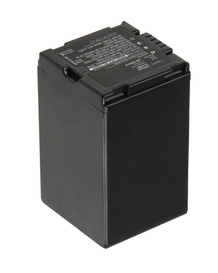 Panasonic VW-VBD310 Battery - 2