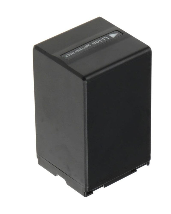 Panasonic VW-VBD310 Battery